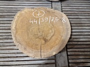 ORZECH CZARNY Amerykański 44/39/7,5-8 cm Wysuszony Blat Plaster Drewna 