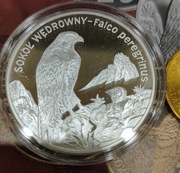 20 zł 2008 Sokół Wędrowny zwierzęta świata+ 2 zł + folder,  mennicza