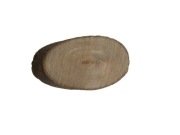 Ozdoba wiórka drewniana do formikarium mrówki 