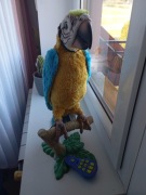 Papuga interaktywna FurReal Hasbro 
