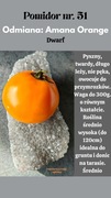 Nasiona Pomidorów Amana Orange 