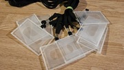 Identyfikator Holder z taśmą, smyczą - 8szt