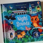 Night sounds Usborne