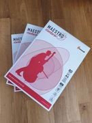 Papier Maestro do drukarki / ksero A4 ryza