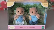 Sylvanian Families Rodzina wydr