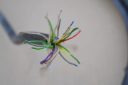 PRZEWOD WIELOZYLOWY TECHNO KABEL