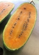 Kaho  Japoński Arbuz Kolekcjonerski Rzadki