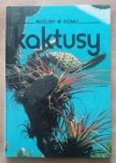 Rośliny w domu Kaktusy