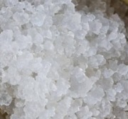 Kefir wodny, kryształy japońskie, algi - 10 g + ulotka, przepisy