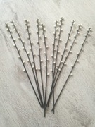 Palmy palemki bazie wielkanocne 45 cm 1,50zł/ szt dekoracja