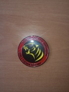 Coin 2 Eskadra obsługi samolotów 31 BLT