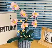 Klocki storczyk 1046 elementów podobne do LEGO