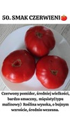 Nasiona Pomidorów Smak Czerwieni 