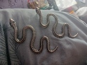 Kolczyki węże ogromne ok 10cm reszta gratis