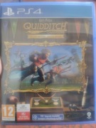 Gra Quiddtch ps4