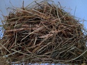 Siano sianko ekologiczne dla gryzoni, zwierzat domowych i hodowlanych 2kg 