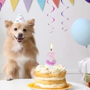 Cyferki urodzinowe na tort złote hello kitty kuromi