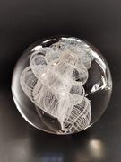 Przycisk do papieru szklany dizajnerski muszla New Look 