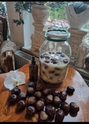 Kasztanowiec zwyczajny (wg Barbara Kazana)