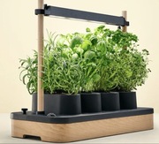 Auk Mini inteligentna doniczka