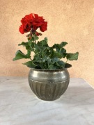 Mosiężna Donica Osłonka Doniczka Na Kwiatki Vintage