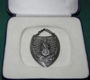 Ryngraf Matka Boska Ostrobramska w etui od medalu