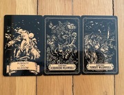 3 karty, książka i torba z serii "Wojownicy"