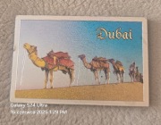 Magnes na lodówkę DUBAI ZEA Zjednoczone Emiraty Arabskie Wielbłąd (19)