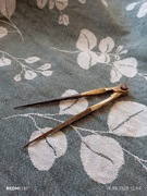 Mapnik antyczny zabytkowy