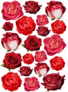 OPŁATEK KWIATY WAFLOWE KOLOROWE CZERWONE RÓŻE NA TORT