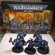 Warhammer 40 000 Space Marines terminator assault squad