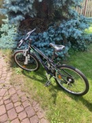 Rower leader Fox, dla nastolatka