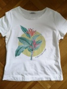 Bluzka tshirt Orsay krótki 36 biały zielony czerwony 24 hm