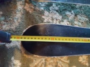 Narty Elan Magpro dł. 90 cm