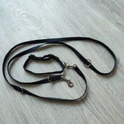 Smycz i obroża dla psa oraz rękawica do sierści 