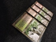 Magic the Gathering Wooded Foothils proxy, playset