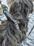 Regulowane Szare Szelki dla Psa