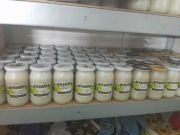 Świeży Miód rzepakowy 1.1kg 