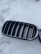 Grill, nerki BMW X5 