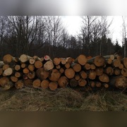 Drewno opalowe buk świerk jesion klon 