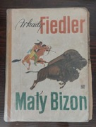 Mały Bizon * Arkady Fiedler
