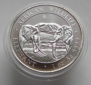 100 Szylingów - Słoń Somalijski 2020 - 1 uncja srebra