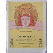 Opowieści z zaczarowanego lasu - Hawthorne Nathaniel