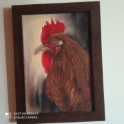 Obraz olejny kogut