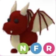 Dragon NFR - Adopt Me Roblox