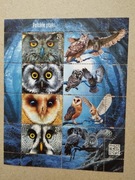 Polskie ptaki - sowy