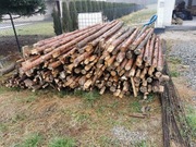 Stemple budowlane ok. 200 sztuk 2,9 m.