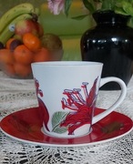 Kolekcjonerski zestaw filiżanka I spodeczek- PRIMA 