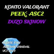 Konto Valorant | dużo skinow, asc2, limited skiny