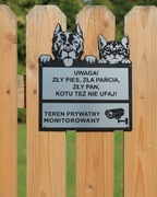 Tabliczka ostrzegawcza uwaga pies i kot 